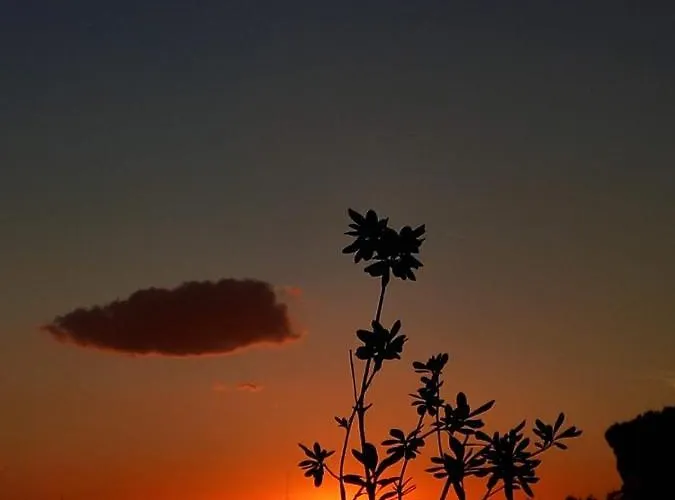 Apartmán Il Tramonto *