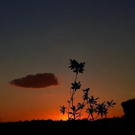 Apartamento Il Tramonto *